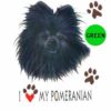 Pomeranian-D187-300×300