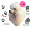 Poodle-D190-300×300-1