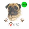 Pug-D20-300×300