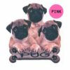 Pug-D207-300×300-1