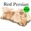 Red-Persian-C35-300×300