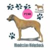 Rhodesian-Ridgeback-D160-300×300-1