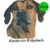 Rhodesian-Ridgeback-D198-1-300×300