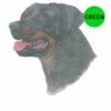 Rottweiler-D199-300×300