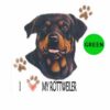 Rottweiler-D21-300×300