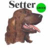 SDetter-D139-300×300