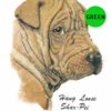 Shar-Pei-D223-300×300