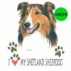 Shetland-Sheepdog-D181-300×300