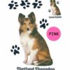 Shetland-Sheepdog-D229-300×300-1