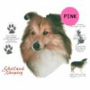 Shetland-Sheepdog-D231-300×300-1