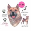 Shiba-Inu-D232-300×300-1