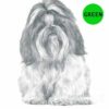 Shih-Tzu-D244-300×300