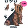 Silky-Terrier-D116-300×300-1