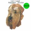 Wheaten-Terrier-D254-300×300