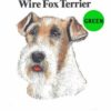 Wire-Fox-Terrier-D109-300×300