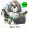 shih-tzu-300×300