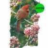 Cardinal-Bird-L31-300×300